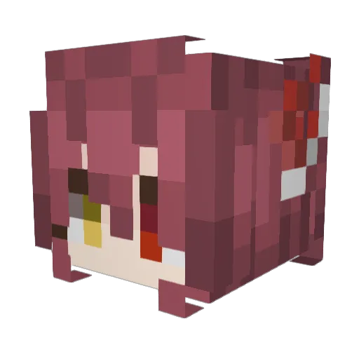 Agua_Con_Sal Minecraft avatar head, 3D render