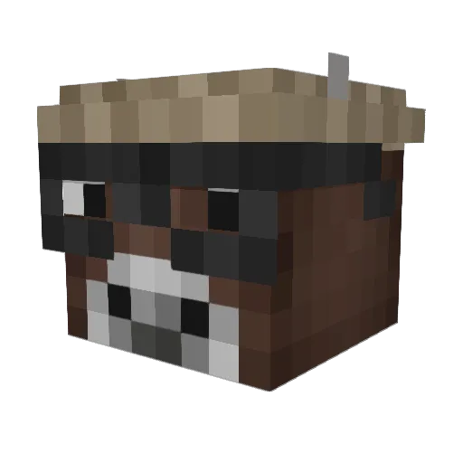 Aguachile Minecraft avatar head, 3D render
