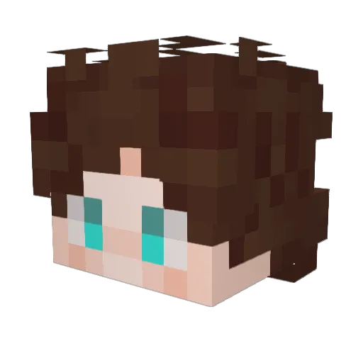 Agunisman Minecraft avatar head, 3D render