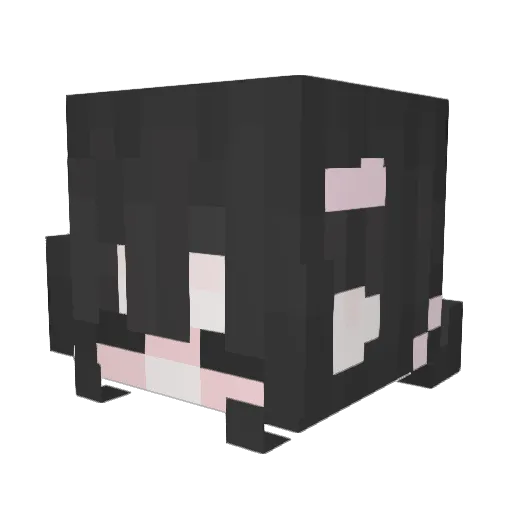 AgusAesthetic Minecraft avatar head, 3D render