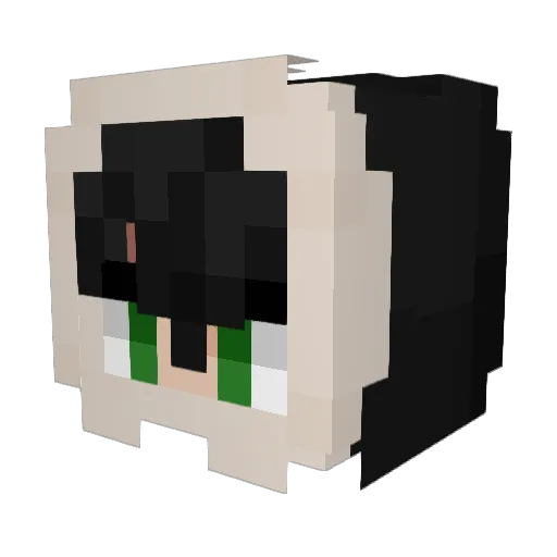 Aguss77 Minecraft avatar head, 3D render