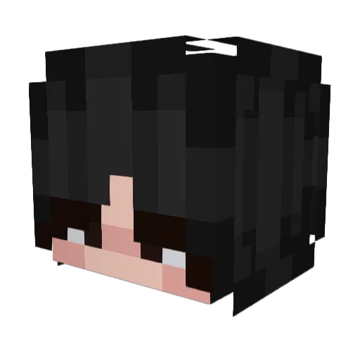 AgustinB Minecraft avatar head, 3D render