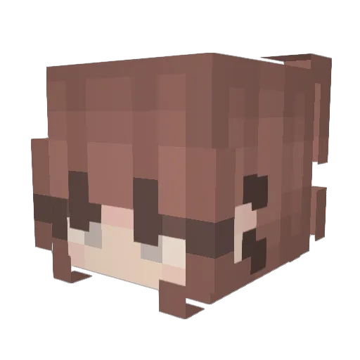 AhQii Minecraft avatar head, 3D render