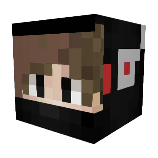 Ah_Fance Minecraft avatar head, 3D render