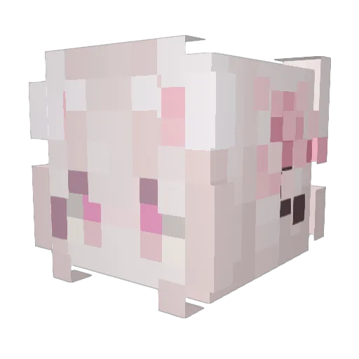 Ahai2002 Minecraft avatar head, 3D render