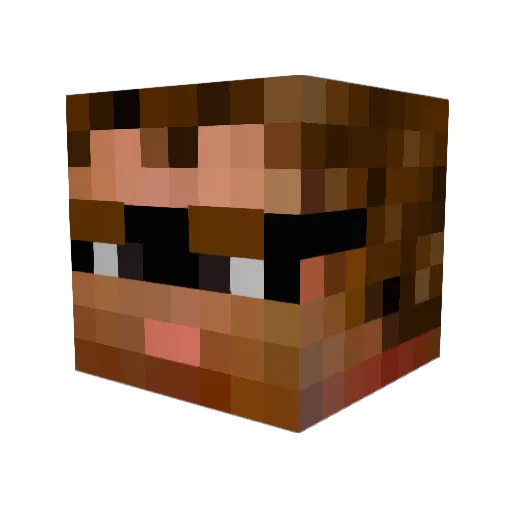 Ahasch Minecraft avatar head, 3D render
