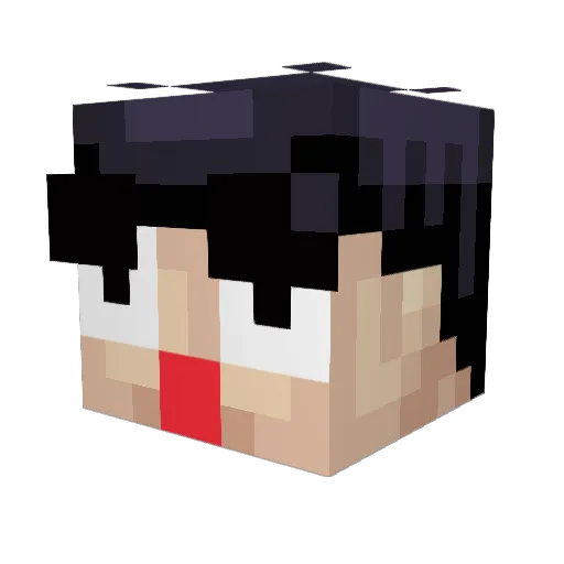 Ahayth3 Minecraft avatar head, 3D render