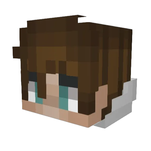 Ahebah Minecraft avatar head, 3D render