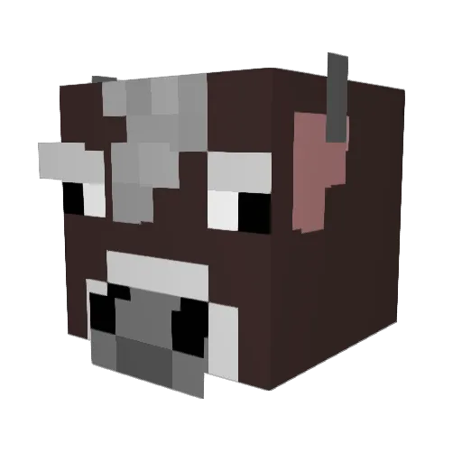 Aheimnir Minecraft avatar head, 3D render