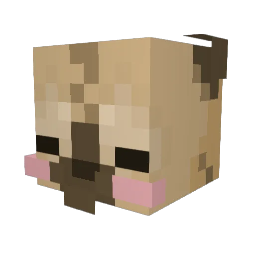 Ahertann Minecraft avatar head, 3D render
