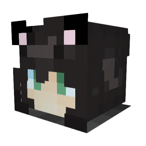 Ahhee00 Minecraft avatar head, 3D render