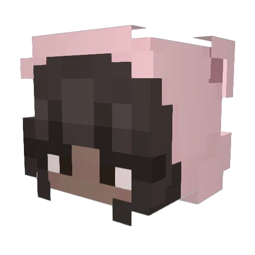 Ahhhhdam Minecraft avatar head, 3D render