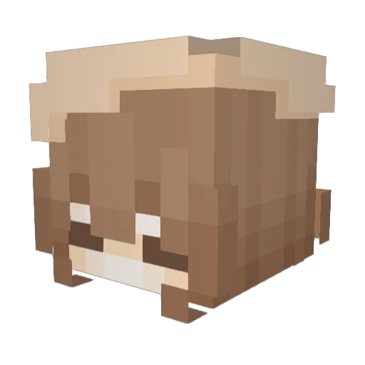 Ahihii Minecraft avatar head, 3D render