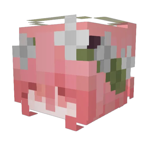Ahin_0001 Minecraft avatar head, 3D render