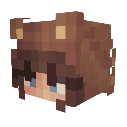 Ahiru05 Minecraft avatar head, 3D render