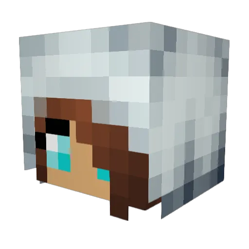 Ahjacobsen Minecraft avatar head, 3D render