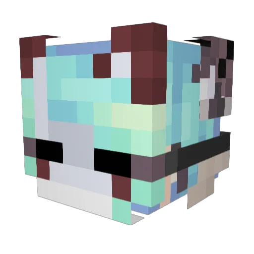 Ahlucard09 Minecraft avatar head, 3D render