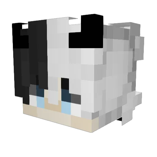 Ahmed_77 Minecraft avatar head, 3D render