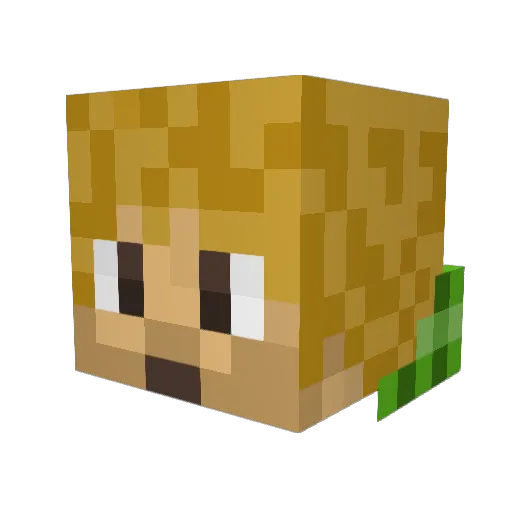 AhmetATAY Minecraft avatar head, 3D render