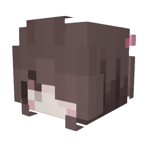 AhmetEmreS Minecraft avatar head, 3D render