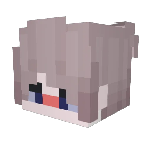 AhmetStrafe2853 Minecraft avatar head, 3D render