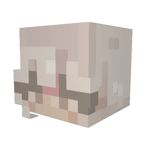 Ahmidi1 Minecraft avatar head, 3D render