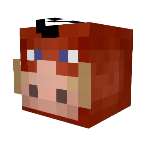 Aho1623 Minecraft avatar head, 3D render