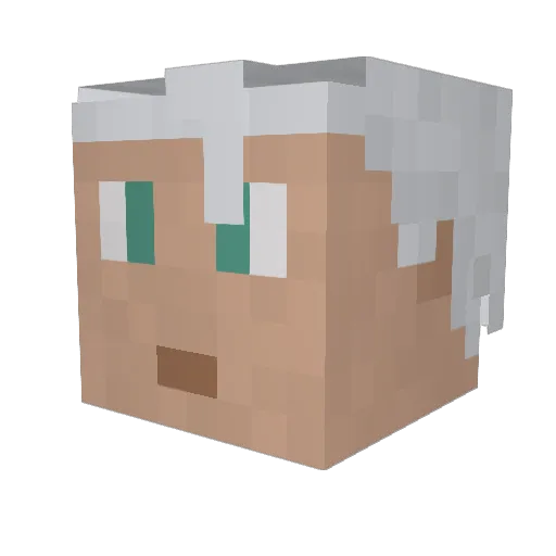 Ahokun Minecraft avatar head, 3D render