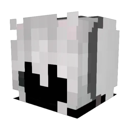Ahoy0824 Minecraft avatar head, 3D render