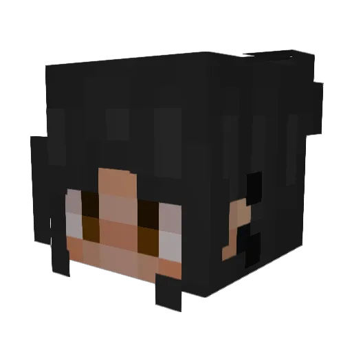 Ahreeahnuh Minecraft avatar head, 3D render