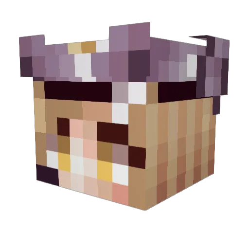 Ahri3140 Minecraft avatar head, 3D render