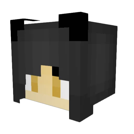 Ahri43 Minecraft avatar head, 3D render