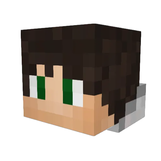AhriL9 Minecraft avatar head, 3D render