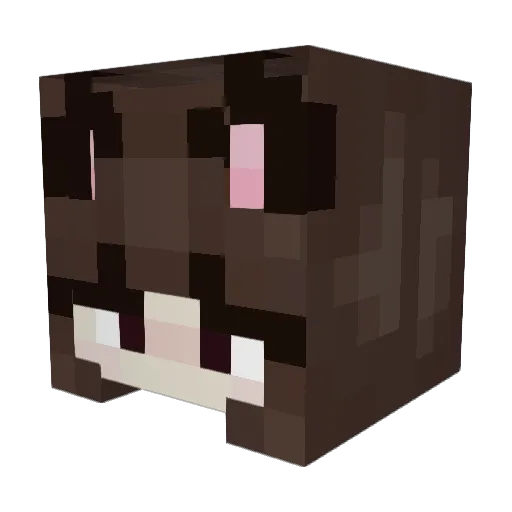 Ahrmann Minecraft avatar head, 3D render