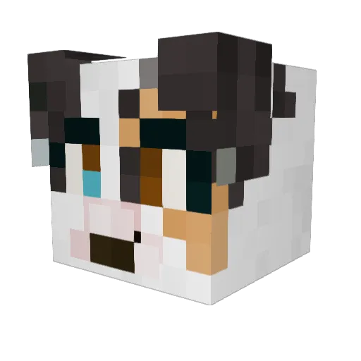 Ahrmoo Minecraft avatar head, 3D render