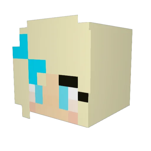 Ahsoka42 Minecraft avatar head, 3D render