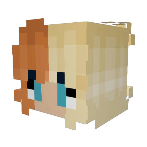 Ahsokie Minecraft avatar head, 3D render