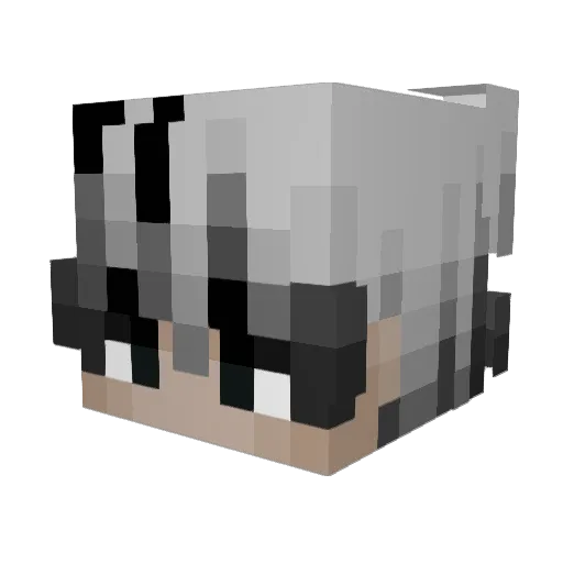 Ahstinn Minecraft avatar head, 3D render