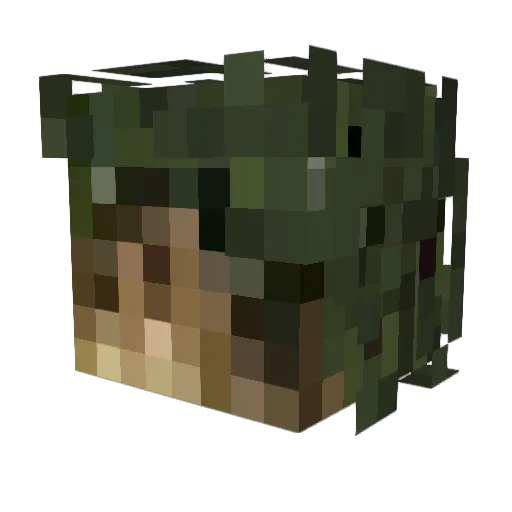 Ahther Minecraft avatar head, 3D render