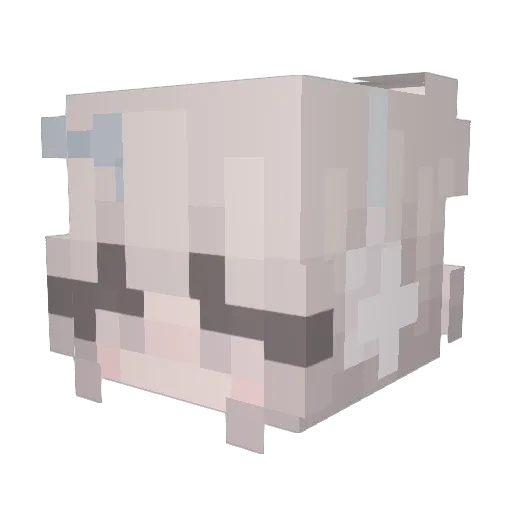 Ahveri Minecraft avatar head, 3D render