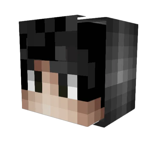 Ahwe1 Minecraft avatar head, 3D render