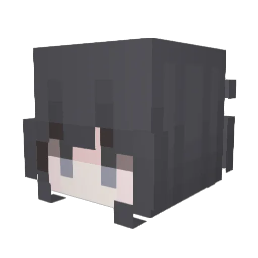 Ahwokn Minecraft avatar head, 3D render