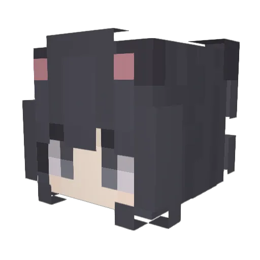 AiLee55 Minecraft avatar head, 3D render