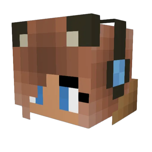 AiMsKyHiGh Minecraft avatar head, 3D render