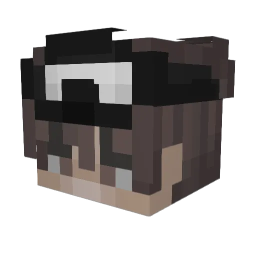 Aiceyi Minecraft avatar head, 3D render