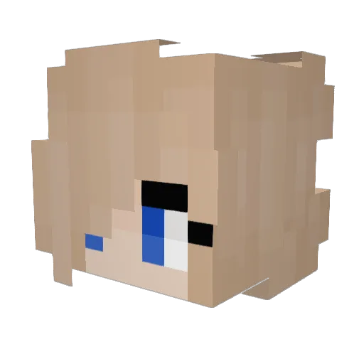 Aid4rgh Minecraft avatar head, 3D render