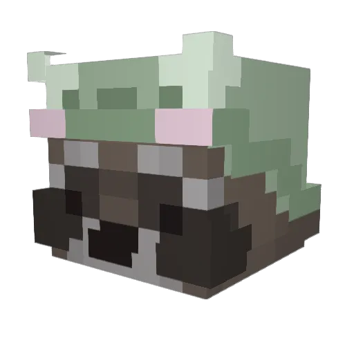 Aidaannnn Minecraft avatar head, 3D render