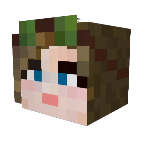 Aidace Minecraft avatar head, 3D render
