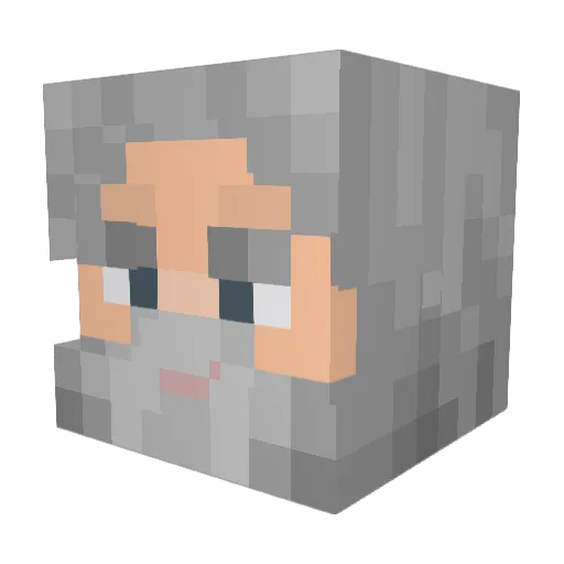 Aidan514 Minecraft avatar head, 3D render
