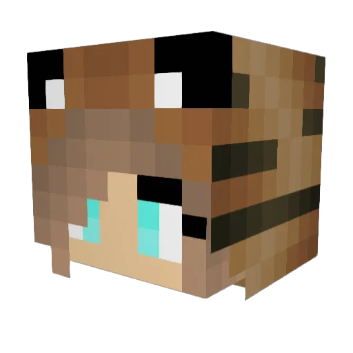 Aidan561 Minecraft avatar head, 3D render